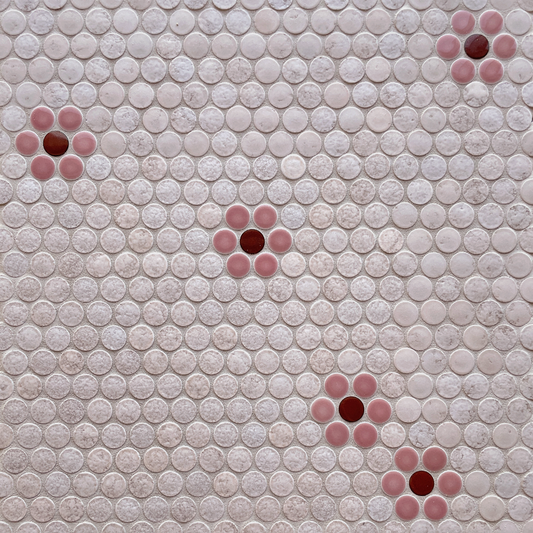 Penny Round Daisy Patch (12" x 12") Petunia